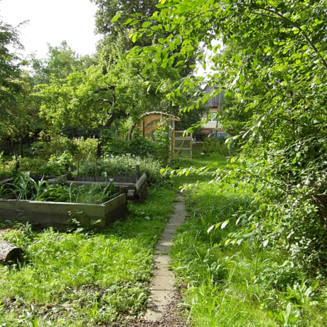 Projektbild